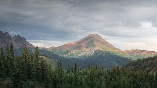 Denali National Park