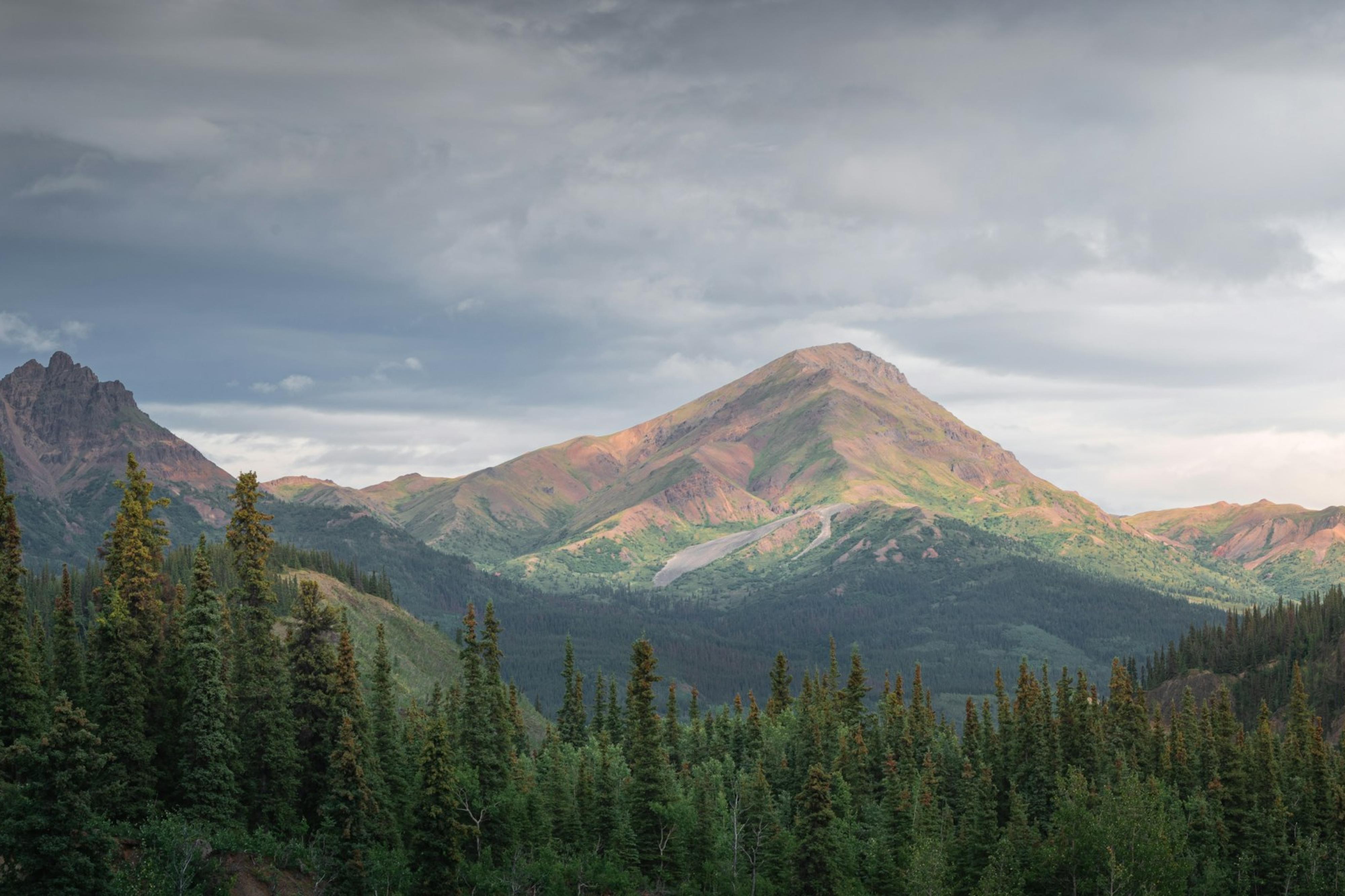 Denali National Park